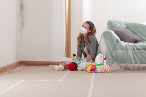 Reliable Crawl Space Mold Removal contractor in Westport, WA by WQB Mold Removal